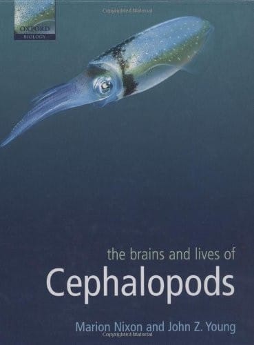 The brains and lives of cephalopods