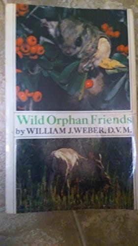 Wild orphan friends