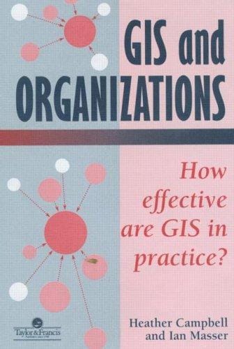 GIS and organizations