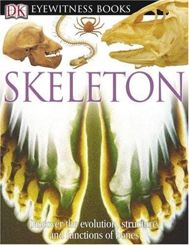 Skeleton