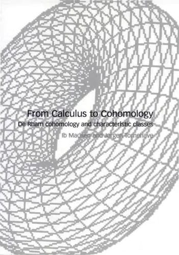 From Calculus to Cohomology