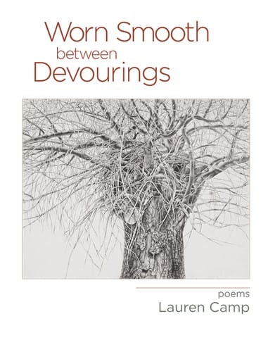 Worn Smooth between Devourings