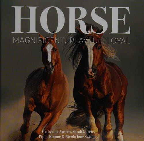 Horse: Magnificent, Playful, Loyal