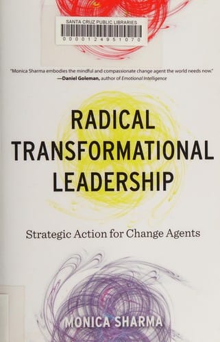 Radical Transformational Leadership: Strategic Action for Change Agents