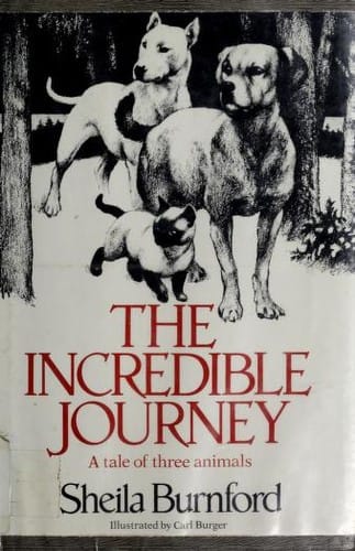 The incredible journey