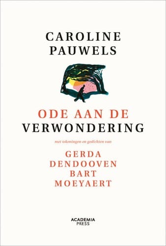 Ode aan de verwondering