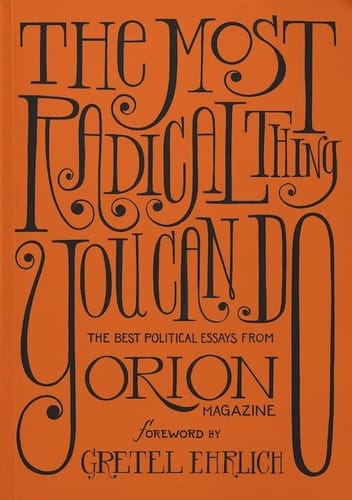 The Most Radical Thing You Can Do: The Best Political Essays from Orion Magazine