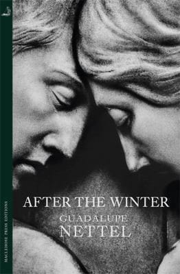 After the Winter: A Novel