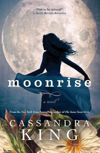 Moonrise: a novel