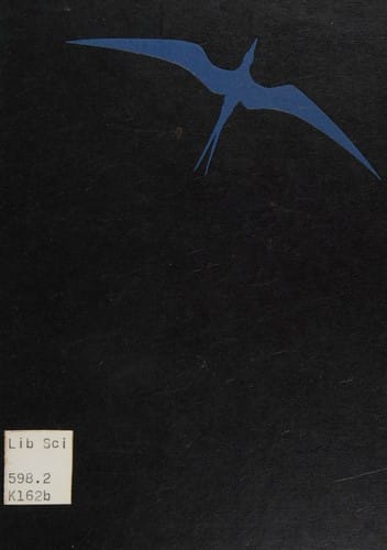 Birds in Flight