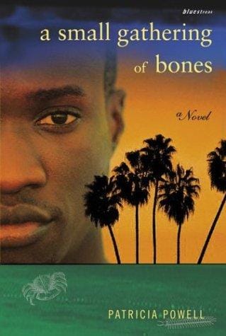 A small gathering of bones