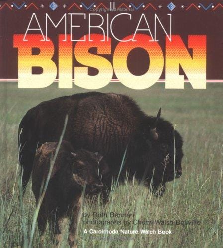 American bison