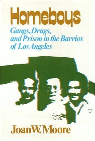 Homeboys: Gangs, drugs, and prison in the barrios of Los Angeles