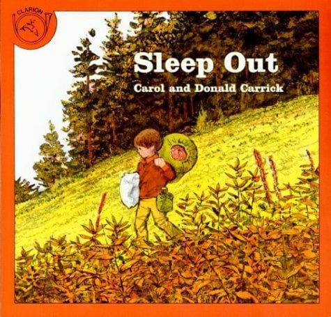 Sleep Out