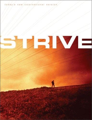 TNIV Strive: The Bible for Men (Today's New International Version)
