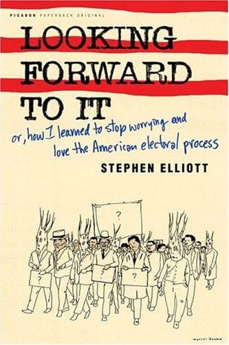 Looking forward to it, or, How I learned to stop worrying and love the American electoral process