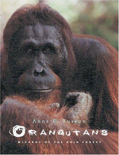 Orangutans: wizards of the rain forest