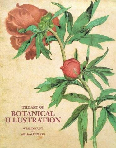 art of botanical illustration