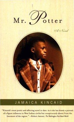 Mr. Potter: A Novel
