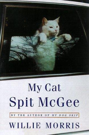My cat Spit McGee