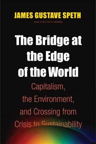 The Bridge at the Edge of the World: Capitalism, the Environment, and Crossing from Crisis to Sustainability