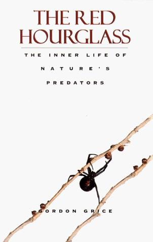 The red hourglass: lives of the predators
