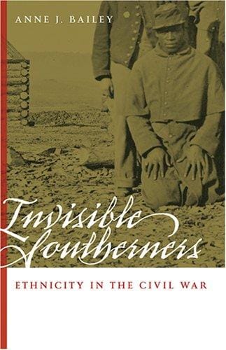 Invisible Southerners: ethnicity in the Civil War