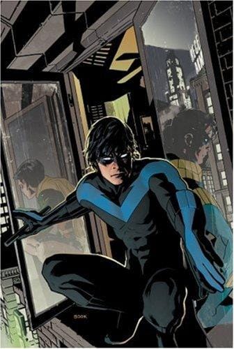 Nightwing: The Lost Year (Nightwing (Graphic Novels))