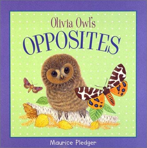 Olivia Owl's Opposites