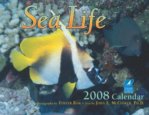Sea Life 2008 Calendar