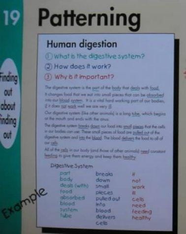 Notemaking Posters for Children: Pack Two