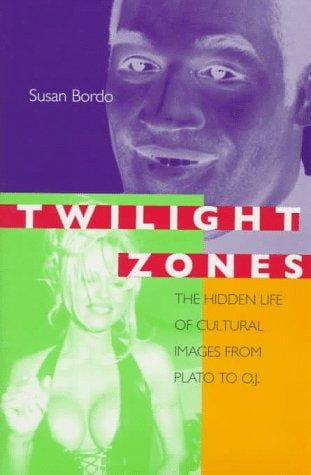 Twilight zones: the hidden life of cultural images from Plato to O.J.