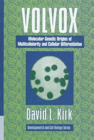 Volvox: molecular-genetic origins of multicellularity and cellular differentiation