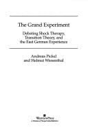 The grand experiment: debating shock therapy, transition theory, and the East German experience
