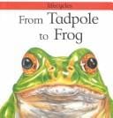 From tadpole to frog