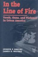 In the line of fire: youths, guns, and violence in urban America
