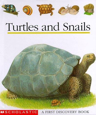 Turtles and snails