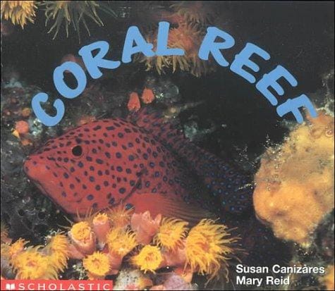 Coral reef