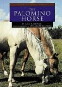 The palomino horse