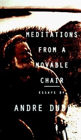 Meditations from a movable chair: essays