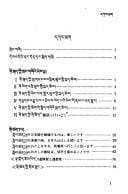 Ñi-hoṅ skad yig tshad ldan rab gsal me loṅ