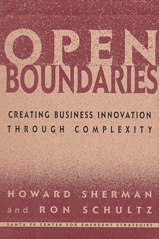 Open boundaries: creating business innovation through complexity