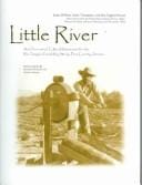 Little River: An Overview Of Cultural Resources For The Rio Antiguo Feasibility Study, Pima County, Arizona (Statistical Research Technical Series)