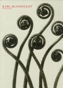 Karl Blossfeldt: Fotografie