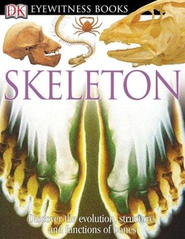 Skeleton (DK Eyewitness Books)