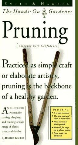 Pruning