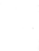 Latin American and Caribbean Review