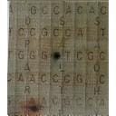 Jane Lackey (Portfolio Collection)