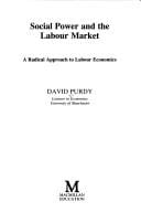 Social Power and the Labour Market (Radical Economics)