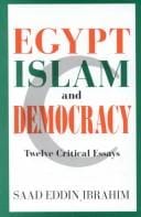 Egypt, Islam and democracy: twelve critical essays